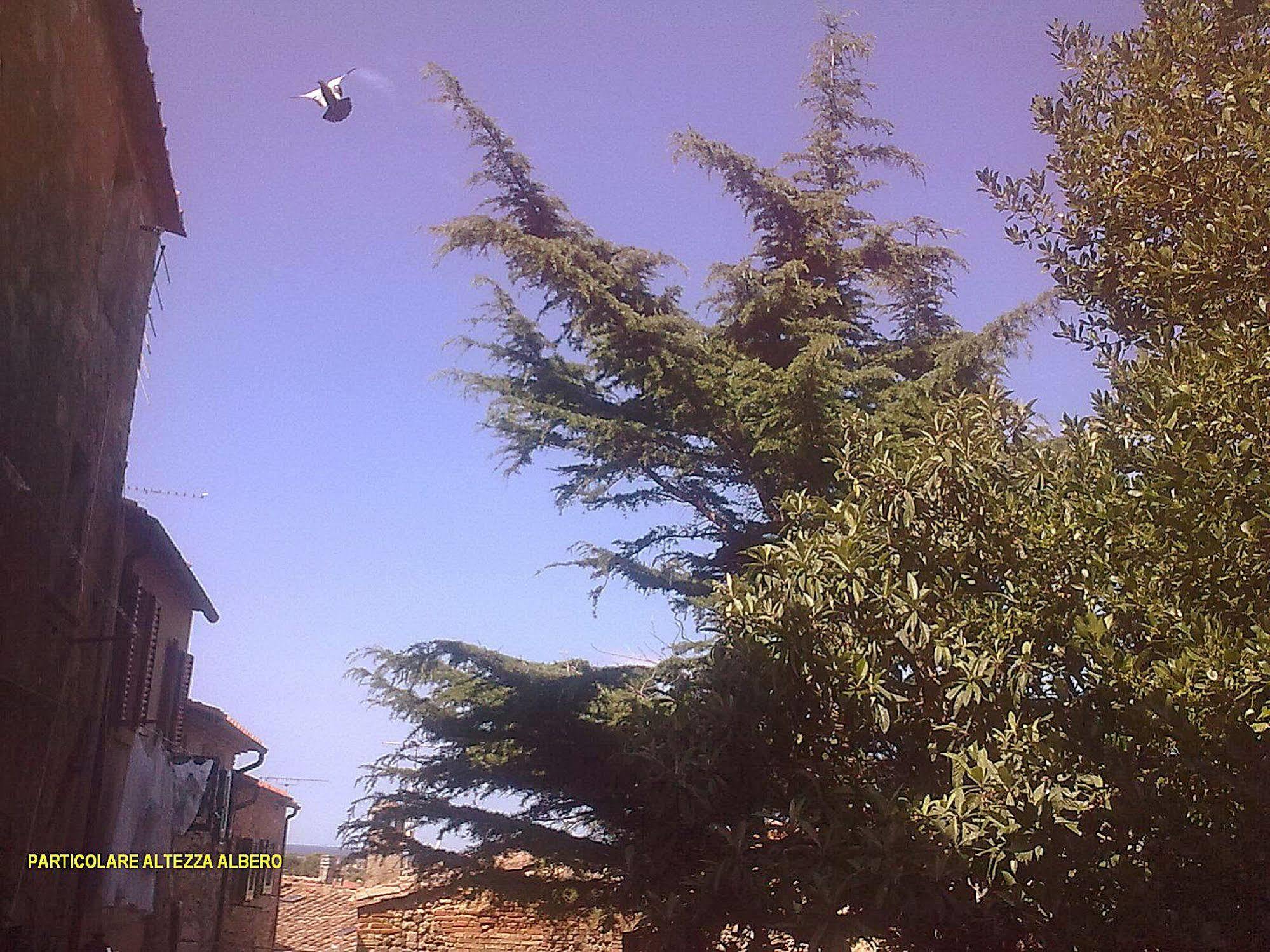 Etrusca 3* Bibbona